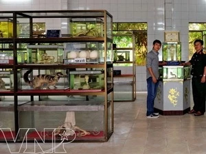 蛇类博物馆